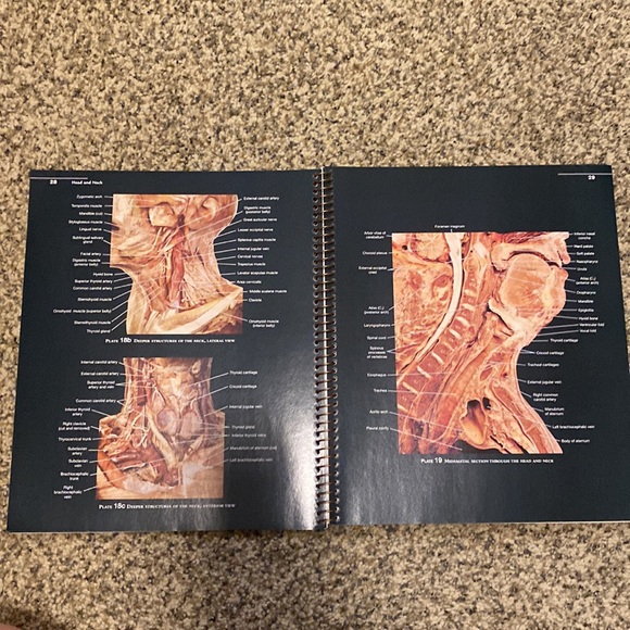 Atlas of the Human Body - Picture 2 of 2